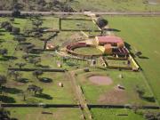 Terreno, Torrejon el Rubio