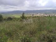 Terreno, Torrelles de Foix