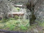 Terreno, Torres Do Mondego, Coimbra | BPI Expresso...