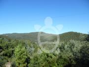 Terreno, Torres Do Mondego, Coimbra | BPI Expresso...