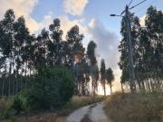 Terreno, Torres Vedras São Pedro e Santiago e Santa... Terreno, Torres Vedras São Pedro e Santiago e Santa...