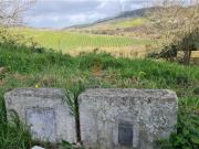 Terreno, Torres Vedras São Pedro e Santiago e Santa...