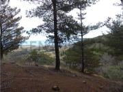 Terreno Tunquén: Naturaleza y Vista al Mar