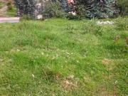terreno ubicado en Los Cerezos