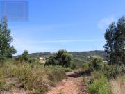 Terreno único de 47000m2 para construir 300m2 em Landal,...