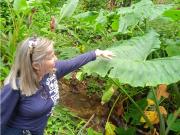 Venta Terreno Urb. Palmarito Maracay