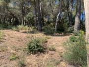 TERRENO URBANIZABLE CASTELLAR DEL VALLÈS