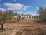 Terreno urbanizable, cerca urbanización el pilar Terreno urbanizable, cerca urbanización el pilar