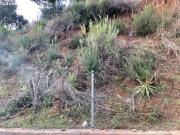 TERRENO URBANIZABLE EN VENTA