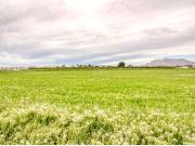 ?️ Terreno Urbanizable en Venta – San Isidro Los Zanjones