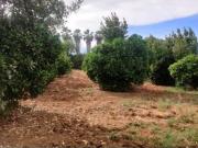 TERRENO URBANIZABLE SECTORIZADO EN ALMENSILLA