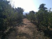 Terreno Urbanizado, 2 Casas, Proyectos Comerciales O...