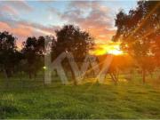 Terreno Urbanizável com 13 hectares em Santiago do Cacém Terreno Urbanizável com 13 hectares em Santiago do Cacém