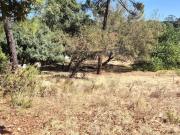 Terreno Urbanizável | Eiras