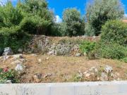 Terreno Urbanizável em Mira de Aire