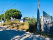 Terreno Urbanizável em Tornada 2 kms de Caldas da Rainha