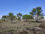 Terreno Urbanizável localizado em Bicesse, Alcabideche,...