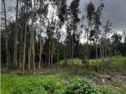 Terreno Urbanizável Oportunidade Única na Freguesia dos...