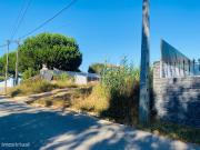 Terreno Urbanizvel em Tornada 2 kms de Caldas da Rainha