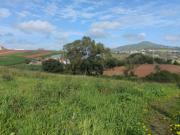 Terreno urbano 4.000 m2 | Tourinha, Mafra Terreno urbano 4.000 m2 | Tourinha, Mafra
