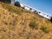 Terreno Urbano com 1.000m2 Plano e Murado em São João...