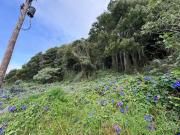 Terreno Urbano Angra do Heroismo