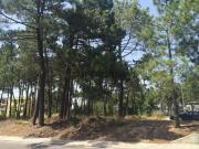 Terreno urbano com 204m², em Azeitão