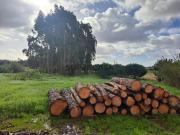 Terreno urbano com 3 640 m²,em Campelos e Outeiro da...
