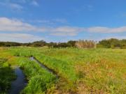 Terreno URBANO com 45.000m2 PLANO com grande potencial e...