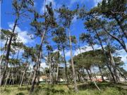 Terreno Urbano com 5.200 m² no Banzão Colares, Sintra