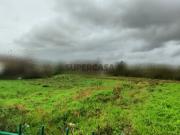 Terreno Urbano para construção em altura Valongo Terreno Urbano para construção em altura Valongo