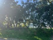 Terreno Urbano com Projeto Aprovado para Moradia com... Terreno Urbano com Projeto Aprovado para Moradia com...