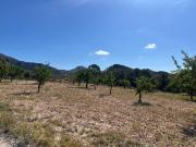 Terreno urbano de 3200 m2 en Barinas