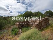 Terreno Urbano de 629 m2 com ruína, inserido em rústicos...