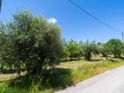 Terreno Urbano em Almagreira