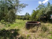 Terreno Urbano em Almagreira