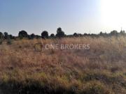 Terreno Urbano em Glória do Ribatejo