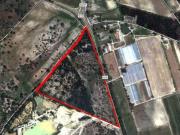 Terreno urbano em Pegões com 14 hectares