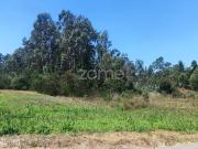 Terreno Urbano em Vagos