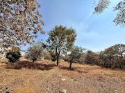 Terreno Urbano en Ahuatepec Cuernavaca M2AI 913 Tu