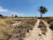 Terreno Urbano en Alicante: Oportunidad de Inversión Única