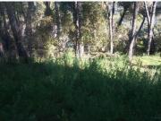 TERRENO URBANO EN CAMPO ALEGRE / TRASSIERRA