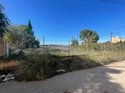 TERRENO URBANO EN EL PALMAR ZONA DE LA PALOMA CERCA DE... TERRENO URBANO EN EL PALMAR ZONA DE LA PALOMA CERCA DE...