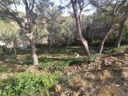 Terreno urbano en la urbanización Els Jardins, Cunit