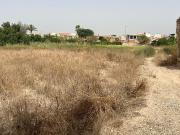 TERRENO URBANO EN LLANO DE MOLINA, MURCIA