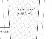 Terreno Urbano en Privada en Palmira Tinguindin,...