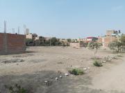 Terreno Urbano En Puente Piedra – Calle Los Jazmines