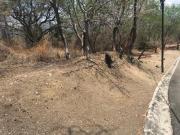 Terreno Urbano en San Gaspar Jiutepec HAM 448 Tu