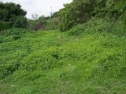 Terreno Urbano en Tamoanchan Jiutepec BER 866 Fr