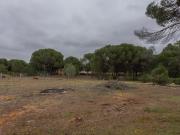Terreno urbano en Tudela de Duero